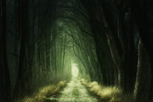 fear and worry